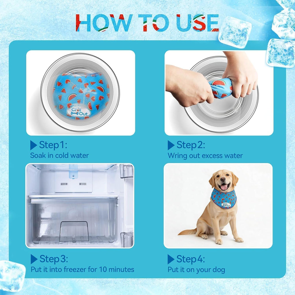 Instructional graphic for All For Paws cooling bandana usage