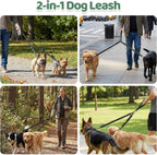 Metal attachment clip on the dual leash holding a pet waste bag dispenser during a walk.