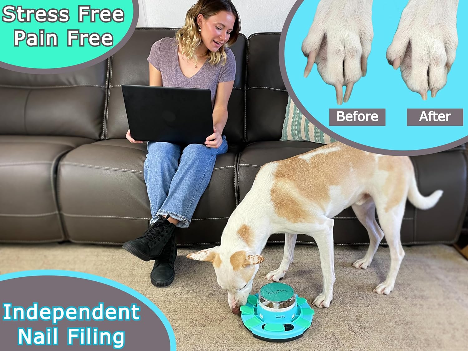Dog using Zenly Paws scratch pad for natural nail grooming