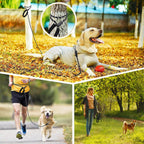 Wodondog long training lead being used for dog recall training outdoors.