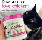 Balanced Breed L-Lysine soft chews texture and size