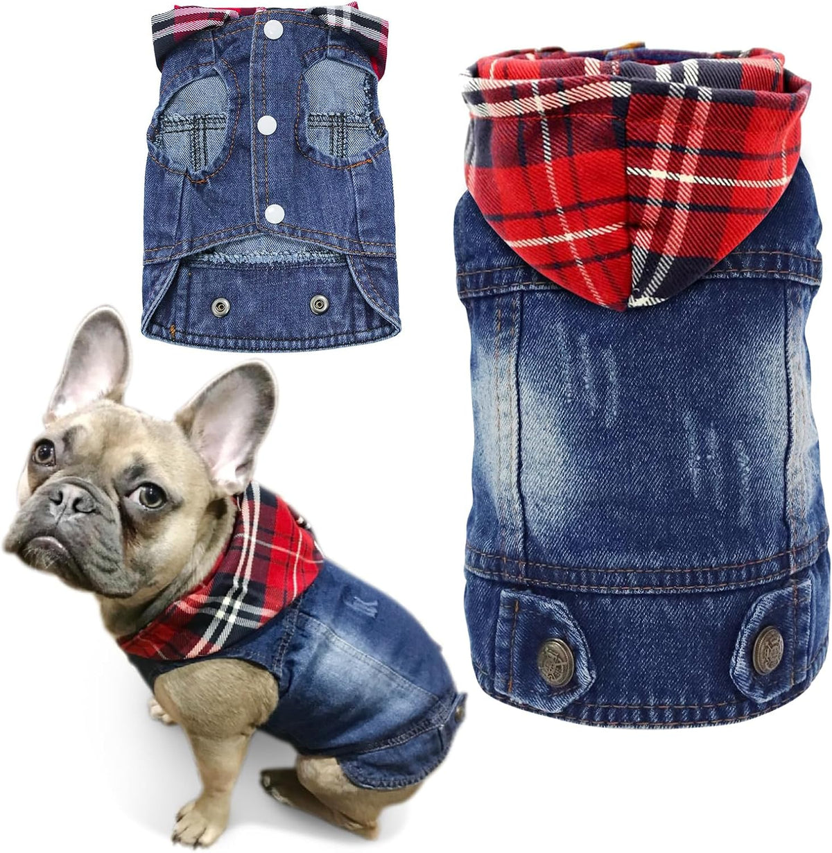 SILD authentic imported pet clothing sizing and look overview for small breeds.