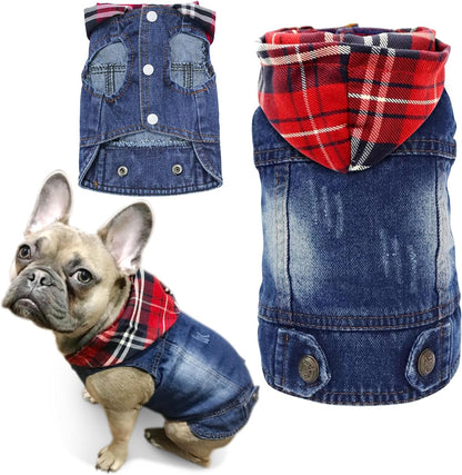 SILD authentic imported pet clothing sizing and look overview for small breeds.