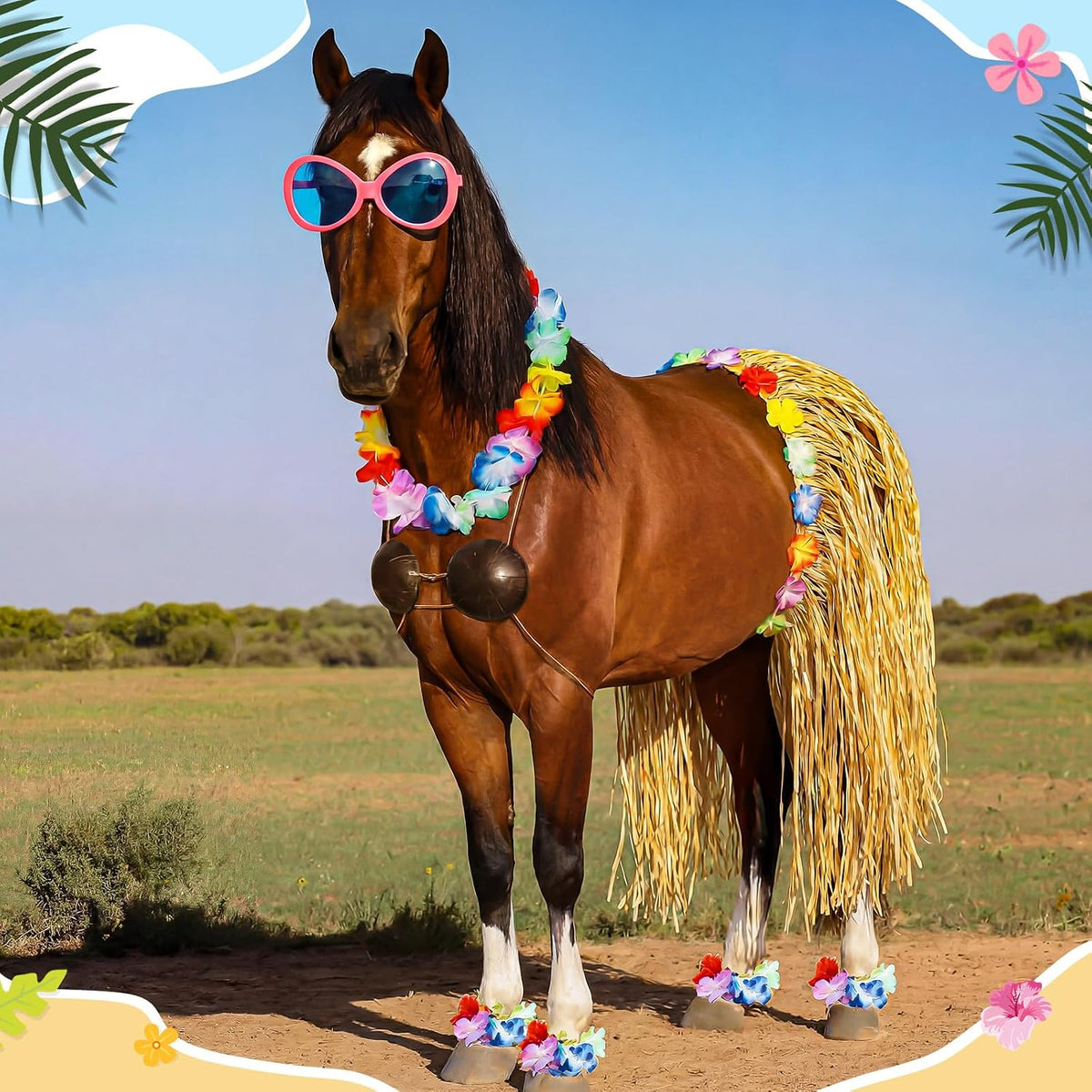 Janinka hula horse costume grass skirt and accessories
