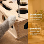Indoor feline playing with a wooden puzzle feeder and natural nail file box