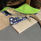 Complete Mechpia bearded dragon habitat accessory collection displayed together.