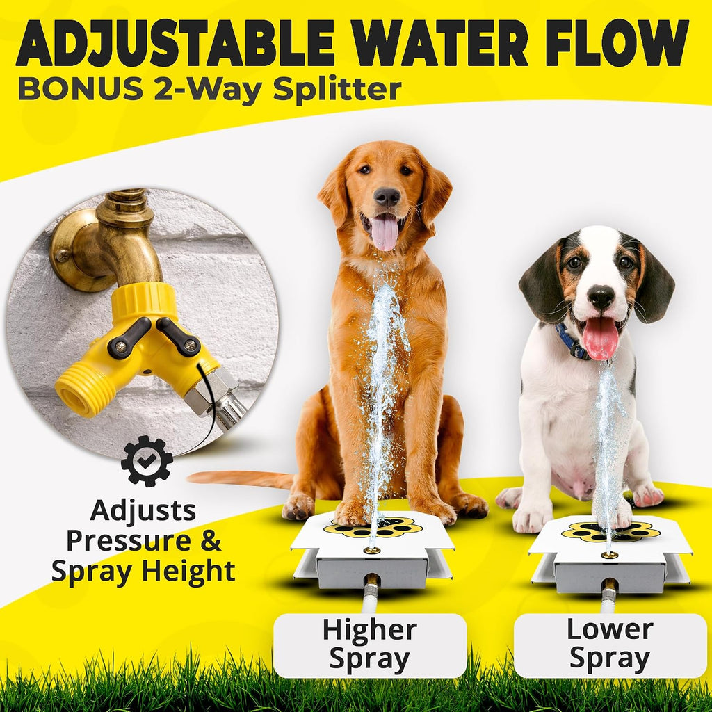 Garden hose connection setup for dog fountain