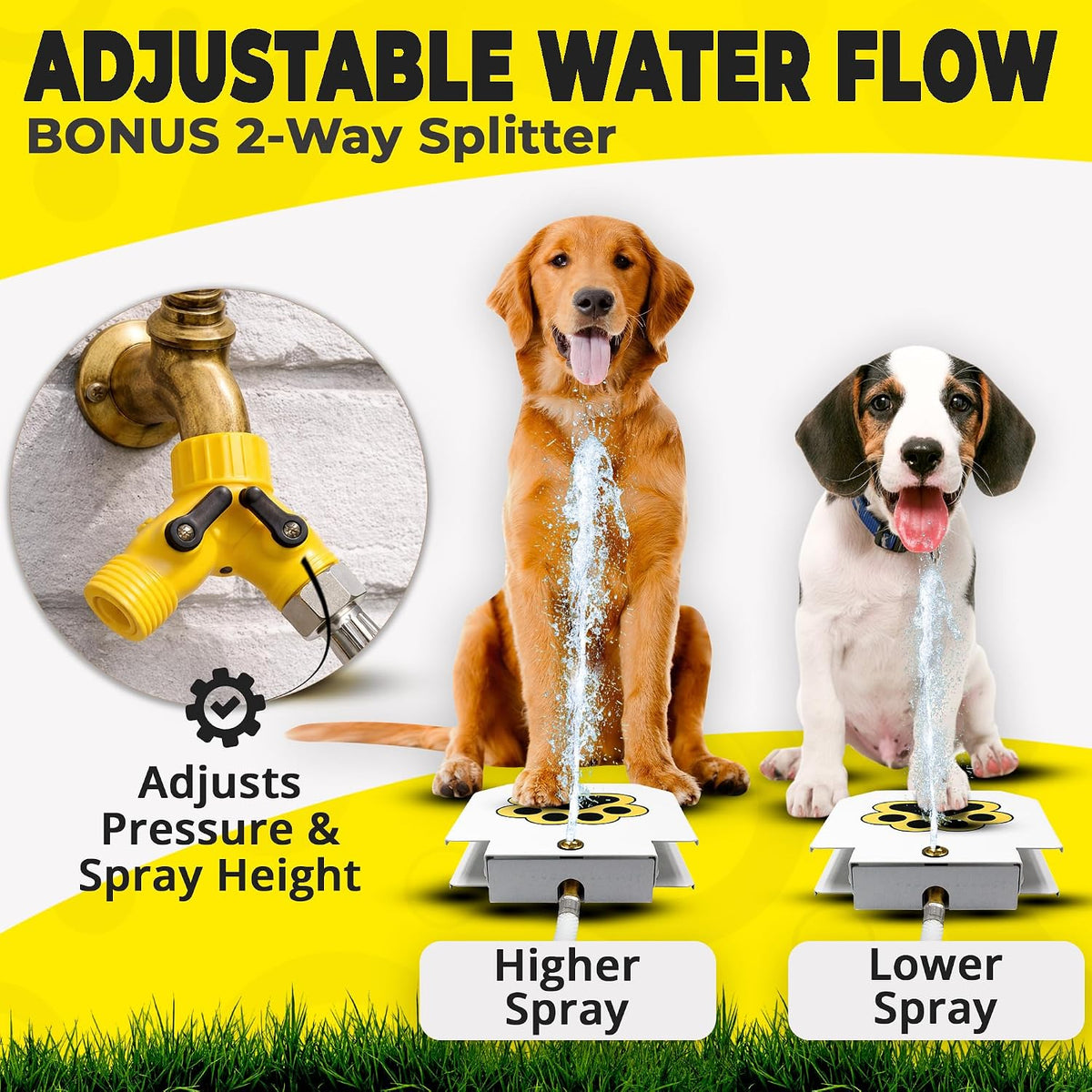 Garden hose connection setup for dog fountain