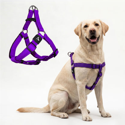 Kruz Pet no-pull dog harness front view in Amethyst