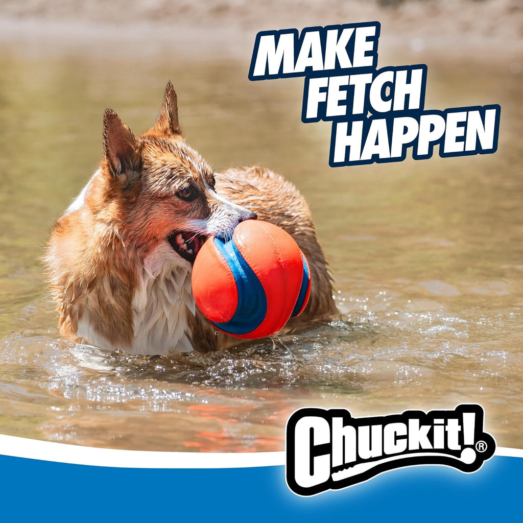High visibility orange and blue design of Kick Fetch