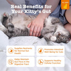 Zesty Paws squeezable cat supplements chicken flavor individual stick packs