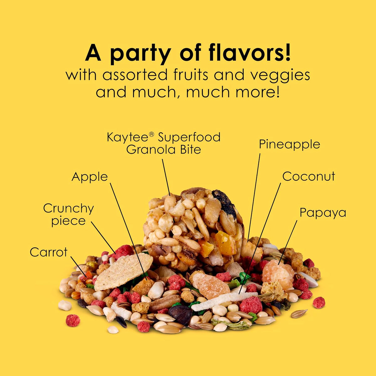 Nutritious seed and fruit blend inside Kaytee Fiesta bag