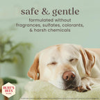 Burt's Bees pet care natural origin sulfate free dog shampoo bottle back label.