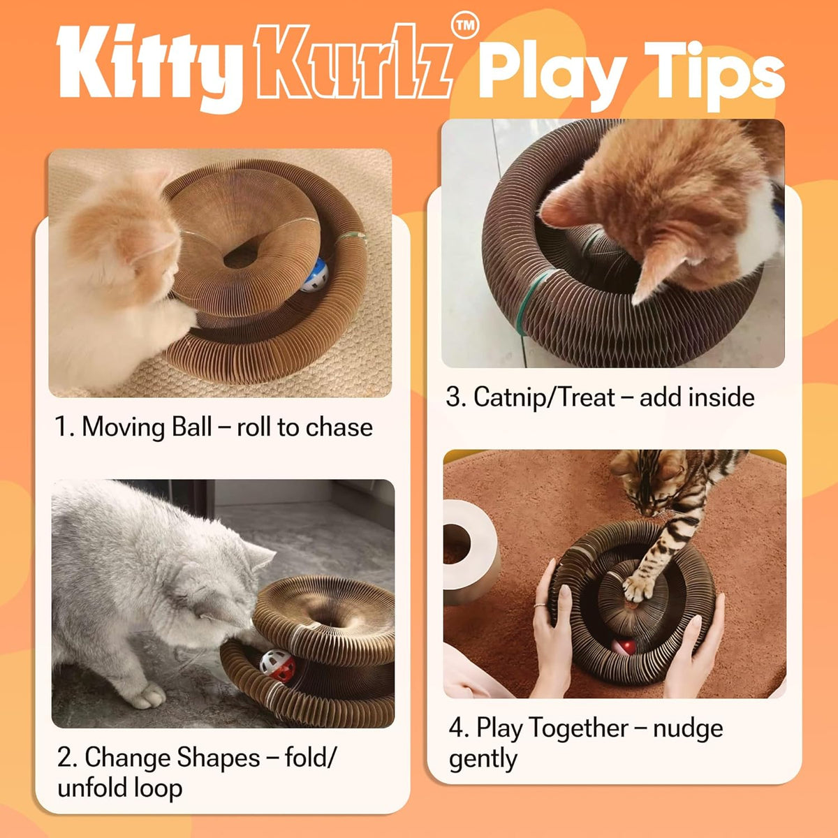 Two energetic kittens playing together with the built-in rolling bell ball track on the Kitty Kurlz toy.