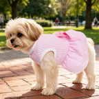 Side profile of a small female dog wearing the breathable seersucker princess outfit