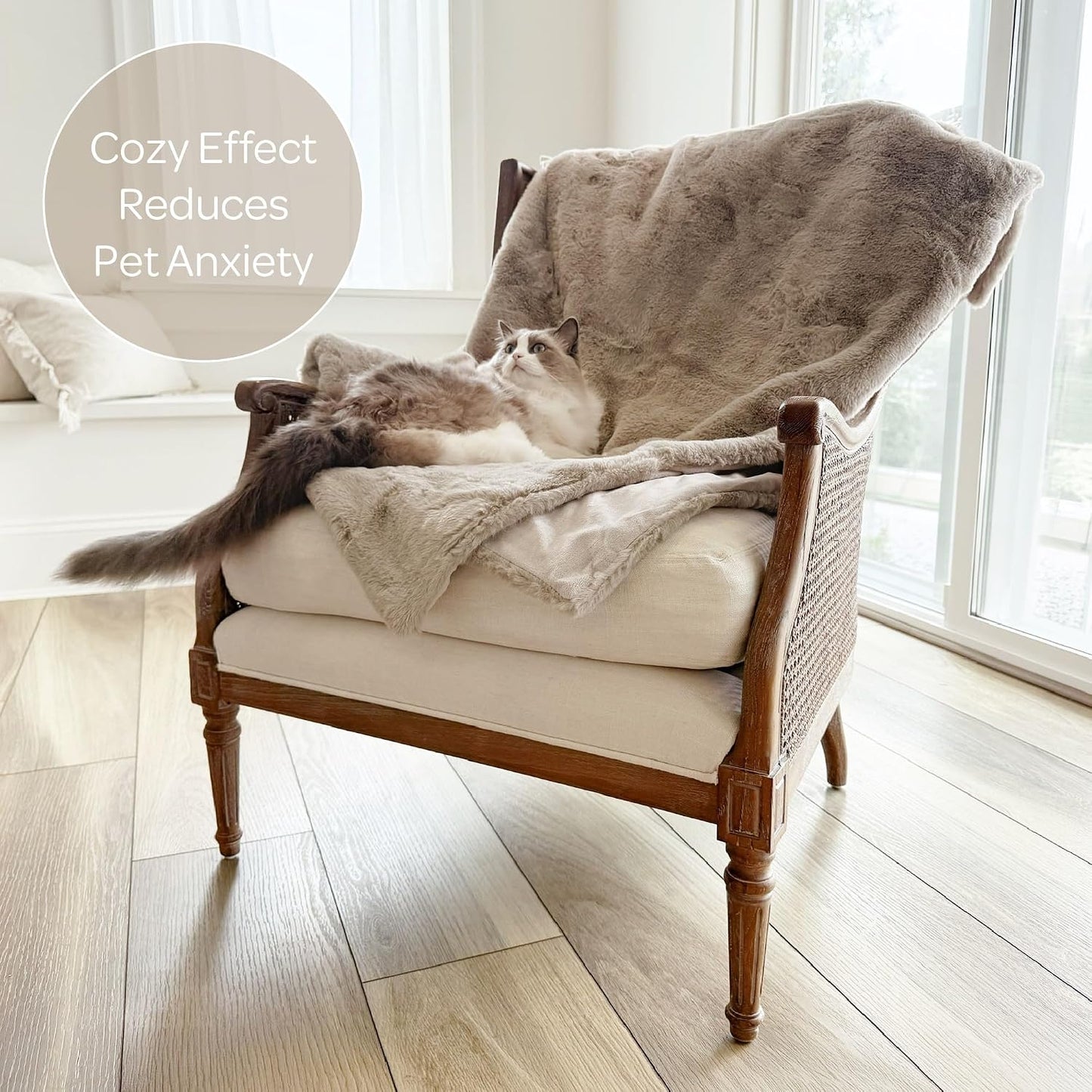 Premium 4 Cats & Dogs mini throw blanket folded neatly showing fabric layers.