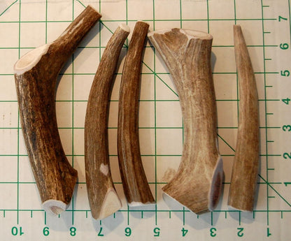 Hand selected and sanded safe deer antler chews for medium and extra large aggressive chewers
