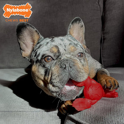 Side view of Nylabone lobster dog chew