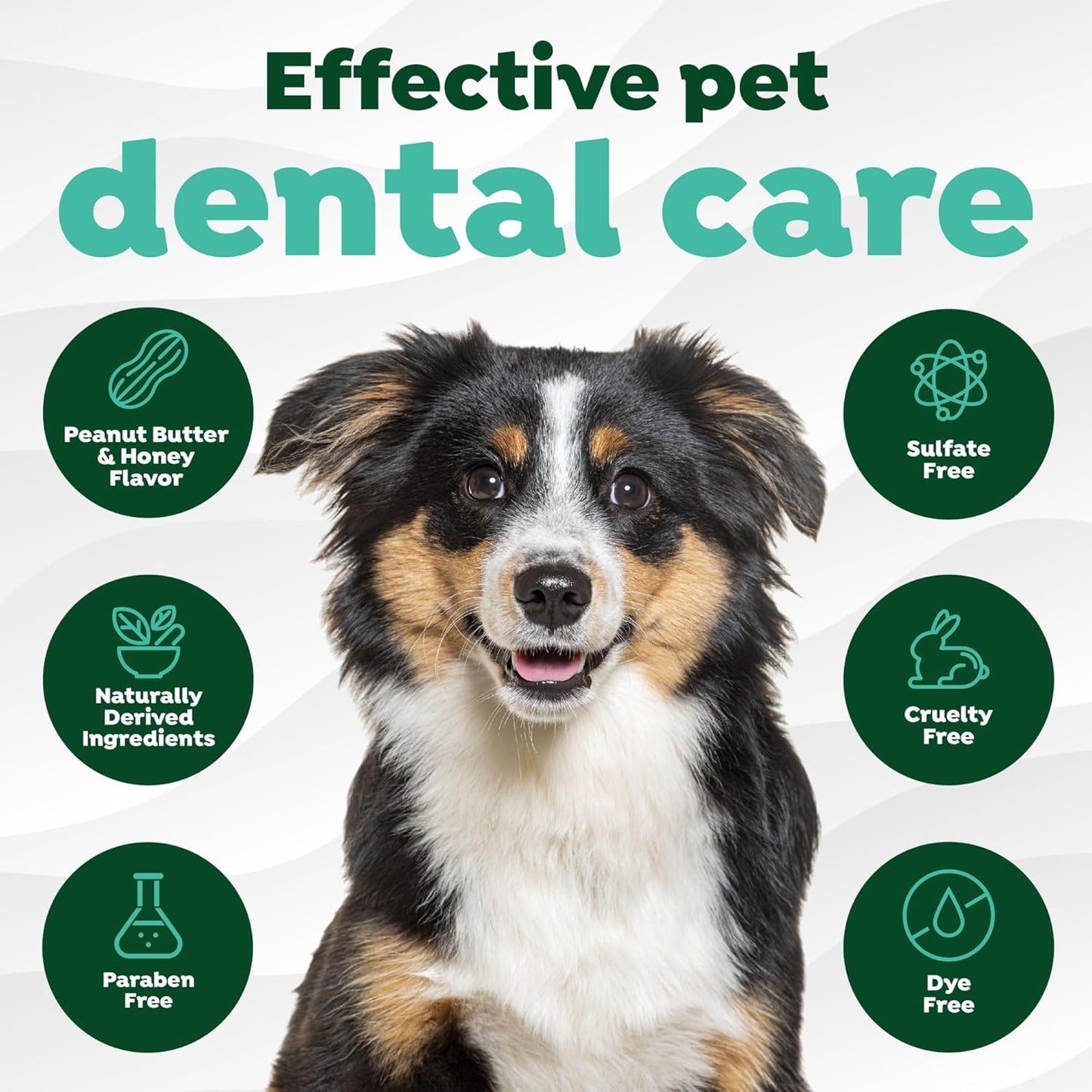 TropiClean tartar control teeth cleaning gel two ounce container