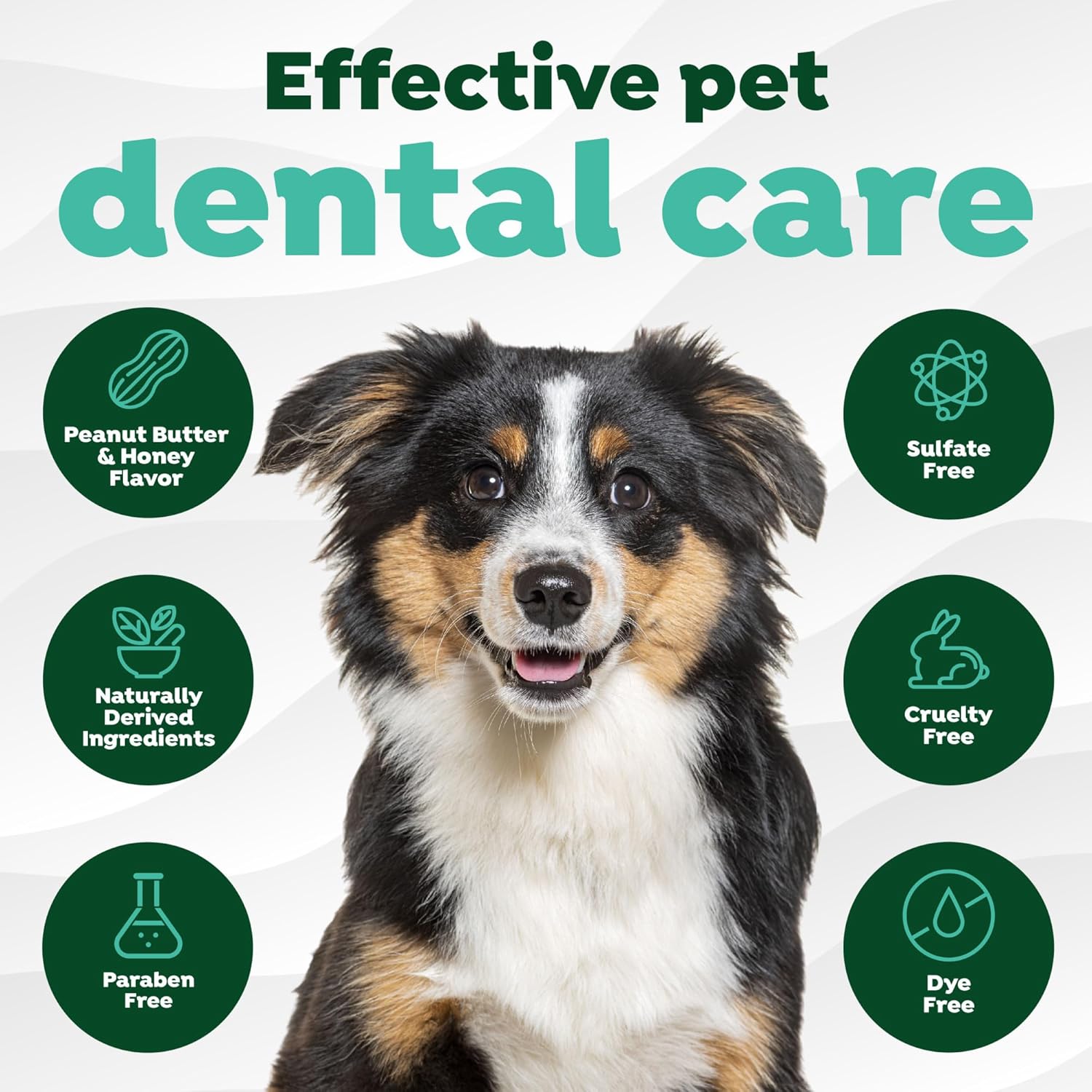 TropiClean tartar control teeth cleaning gel two ounce container