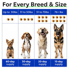 BARK&SPARK authentic dog wellness supplements showing dosage guidelines