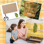 Bird standing on Fabbay gravel paper bird cage floor liner
