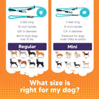 Close up of Heather's Heroes dog training headcollar fastener