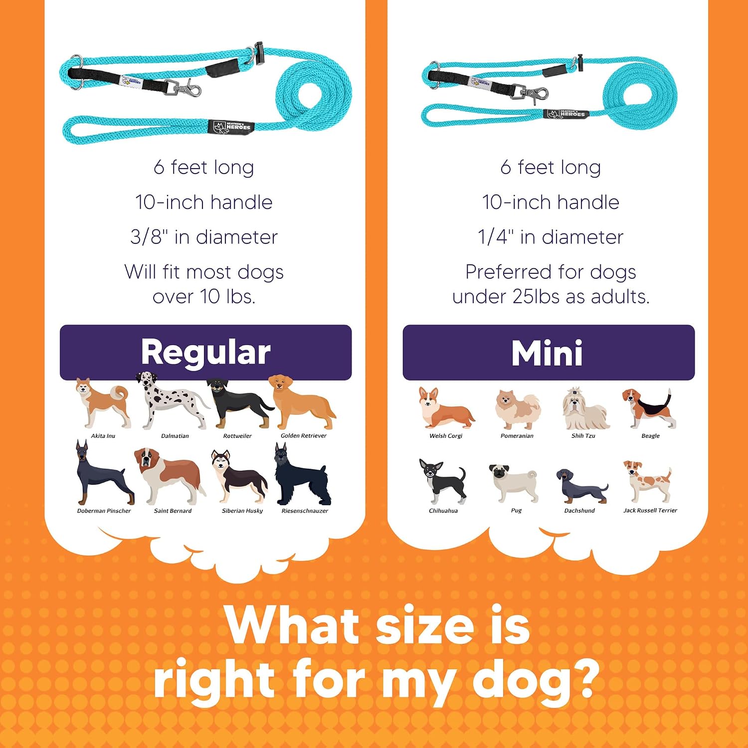 Close up of Heather's Heroes dog training headcollar fastener