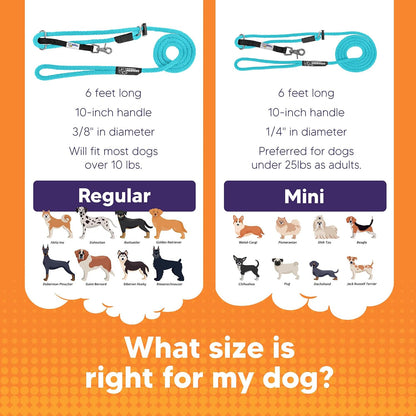 Close up of Heather's Heroes dog training headcollar fastener