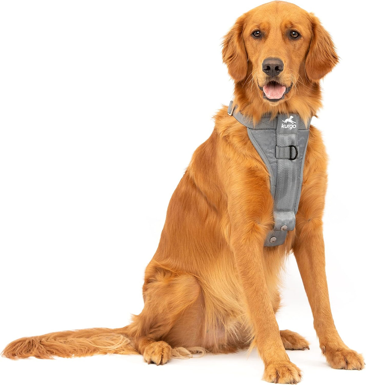 Kurgo Enhanced Strength Tru-Fit Dog Car Harness - Pet Travel Safety Harness - Crash Test Certified Fit - Five Point Adjustment - Secure Buckle - Padded Chest - Black - Medium - Image 10