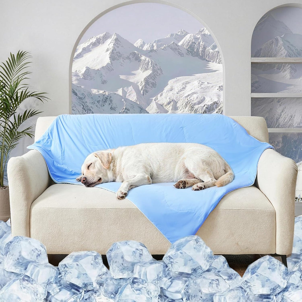 Qieryun dog cooling blanket front view layout on floor