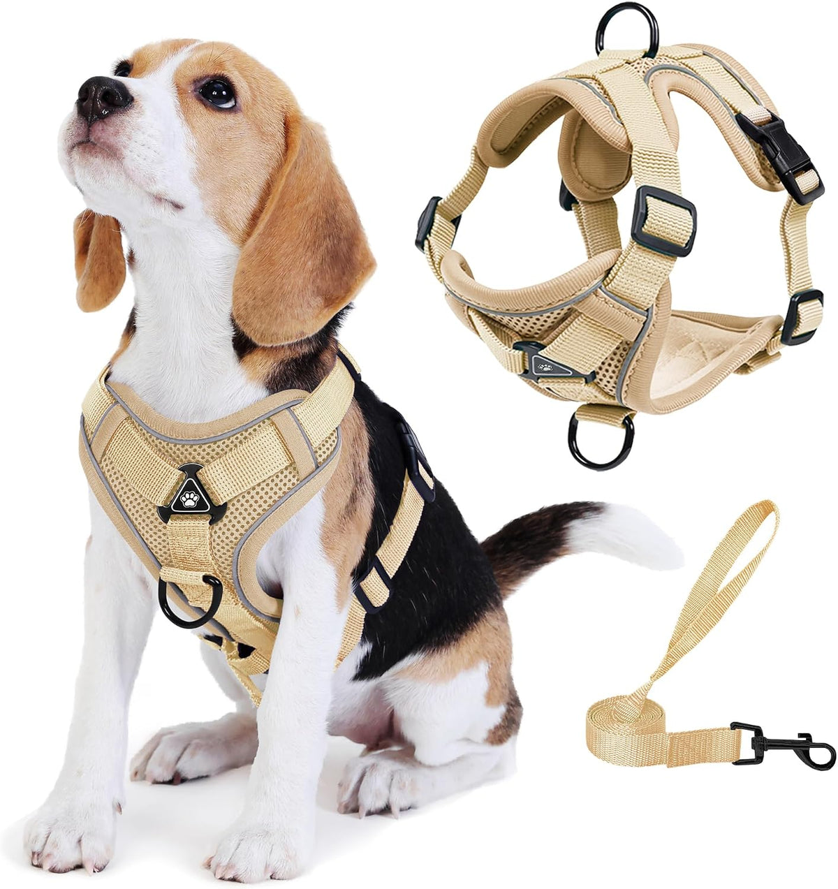 No Pull Dog Harness with Leash Set for Small Sized Dog, Reflective Adjustable No Choke Front Clip Cat Vest Harness with Breathable Mesh, Comfortable Soft Padded Pet Vest, Blue S - Image 12