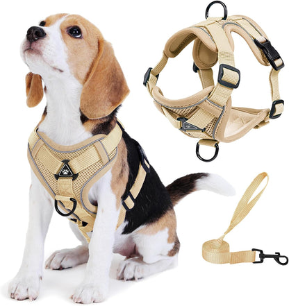No Pull Dog Harness with Leash Set for Small Sized Dog, Reflective Adjustable No Choke Front Clip Cat Vest Harness with Breathable Mesh, Comfortable Soft Padded Pet Vest, Blue S - Image 12