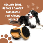 Grooming session with the oval palm brush removing loose undercoat hair from a long haired pet coat.