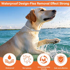 Reflective design of Vicsom flea collar for dog safety