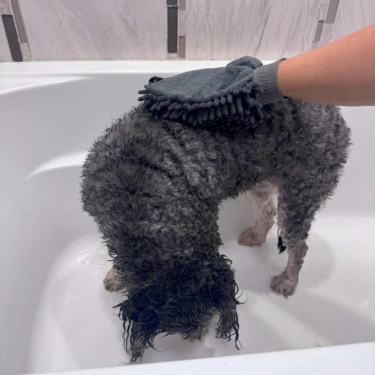 Odor-resistant dog paw cleaning glove imported from the USA for Indian pet owners.