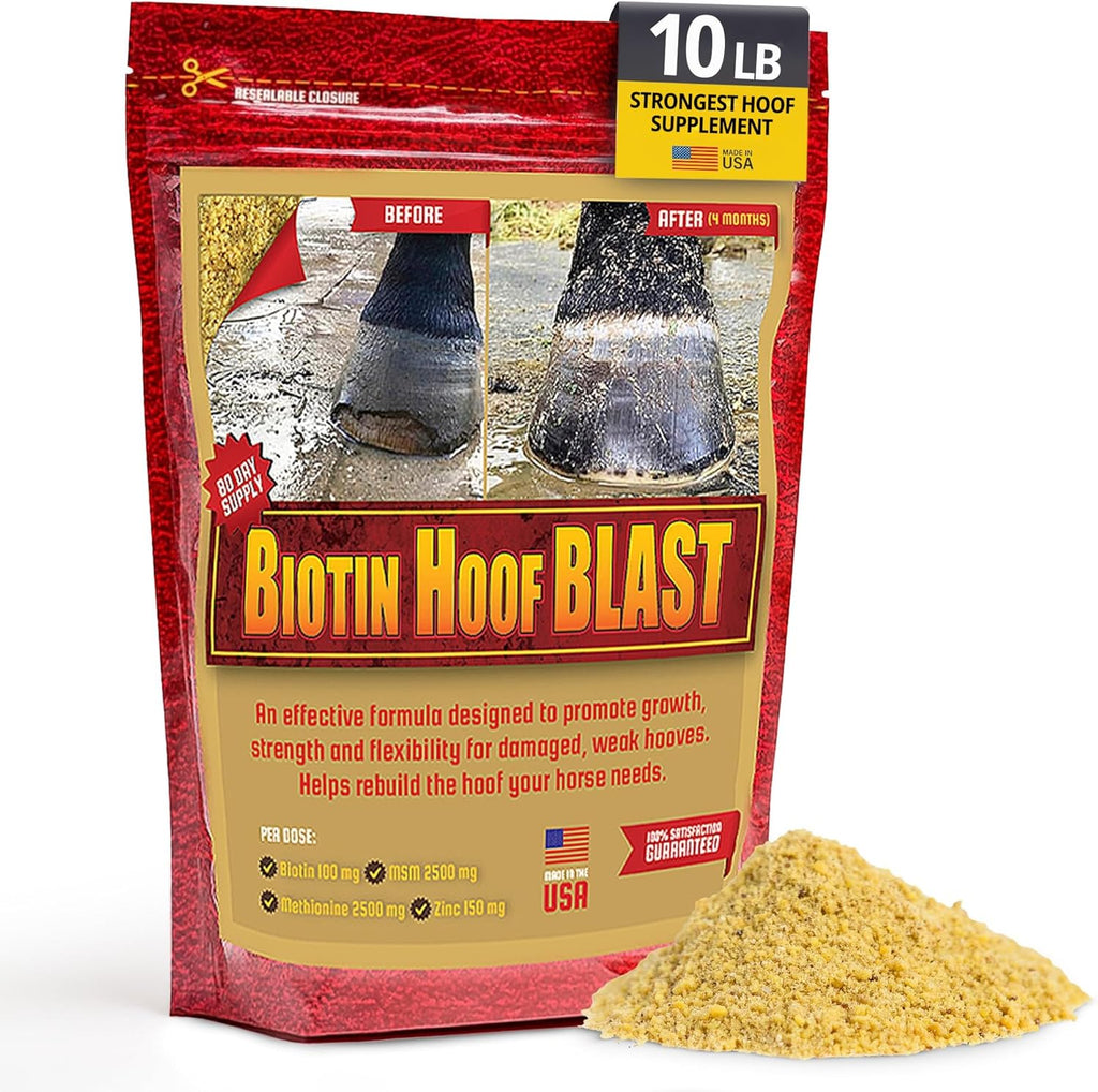 Horse Guard Biotin Hoof Blast equine supplement front view packaging