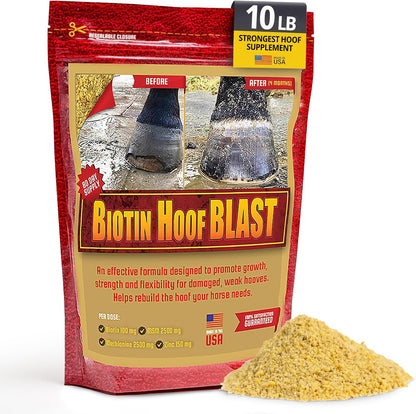 Horse Guard Biotin Hoof Blast equine supplement front view packaging