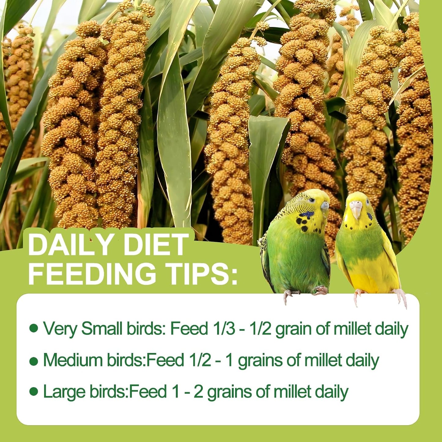 Hamster foraging on Meilleure spray millet treat
