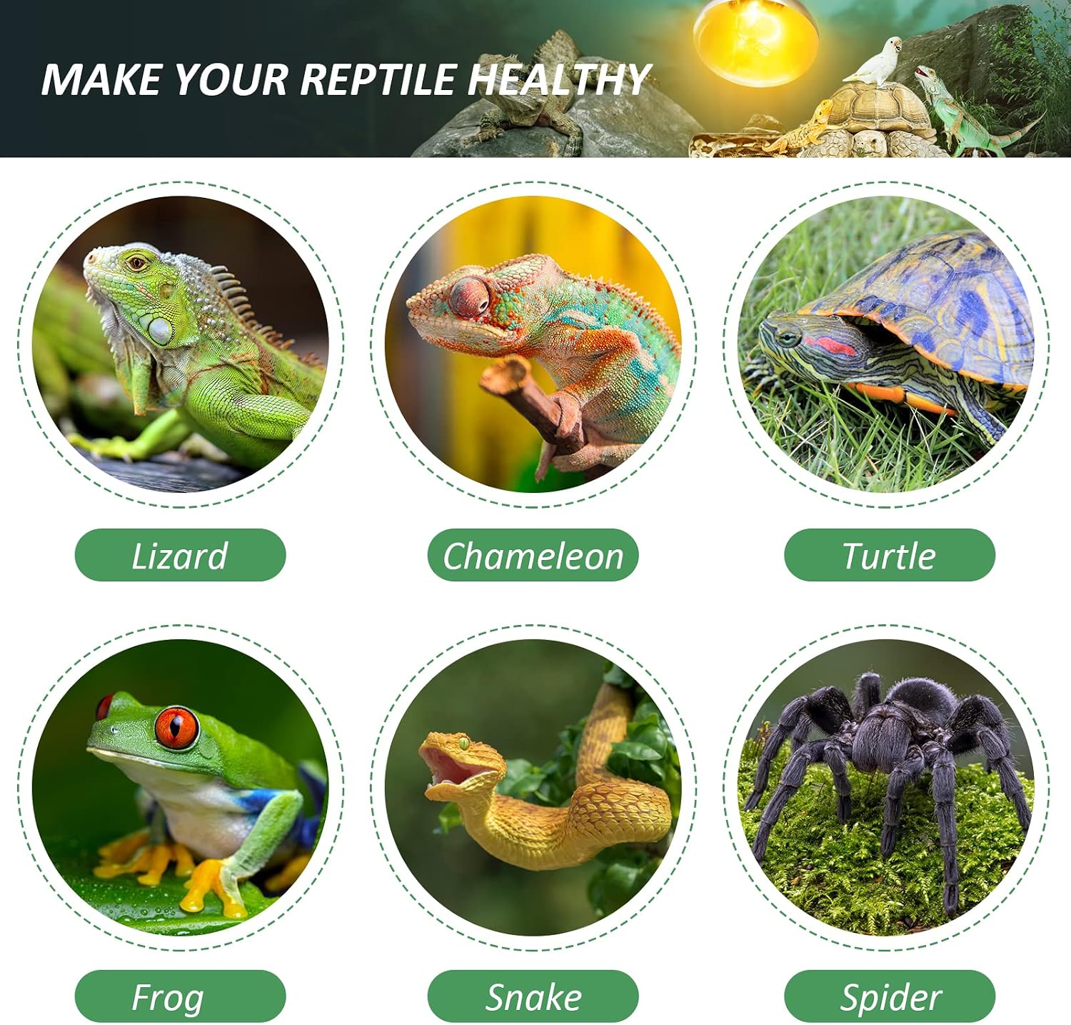 MIXJOY full spectrum heat lamp packaging detailing vitamin D3 synthesis advantages