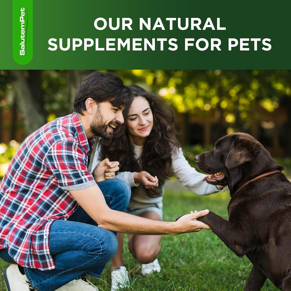 SalutemPet liquid immune defense supplement for puppies and senior dogs