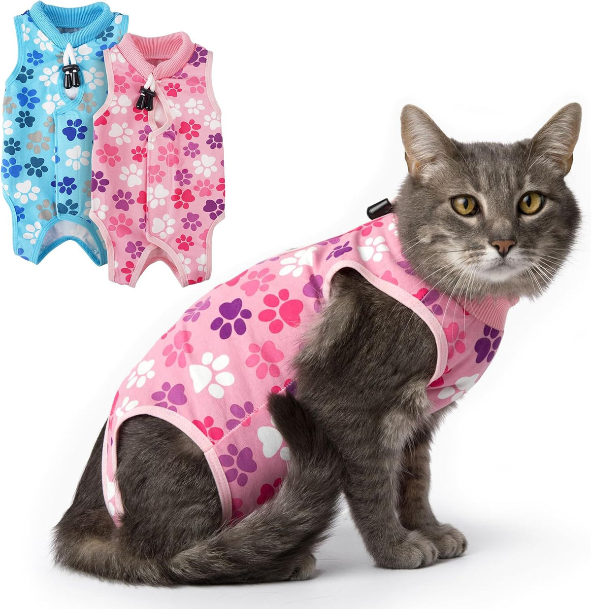 A domestic cat resting comfortably while wearing the blue COZYDOODZ recovery onesie.