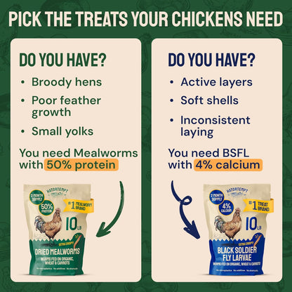 5 lb bag of non-GMO dried mealworms close up