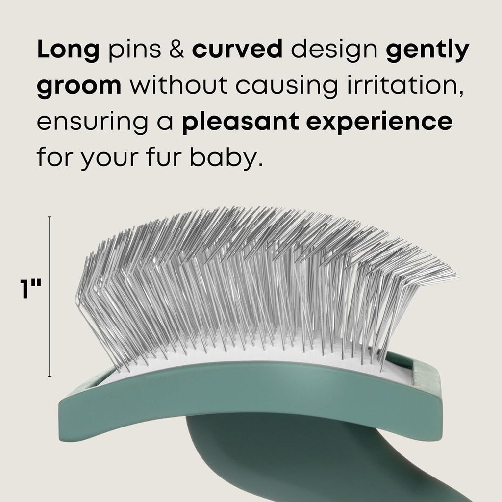Freshly Bailey professional dog brush detangling thick golden curly fur