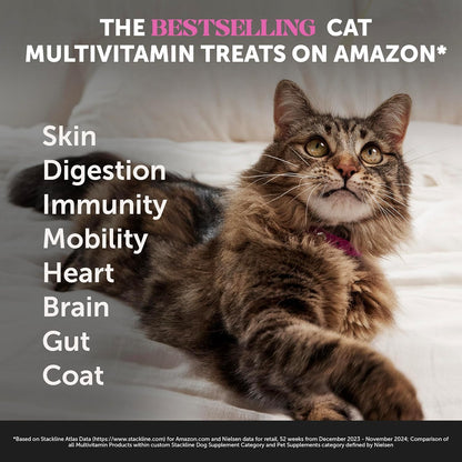 Pet Honesty cat supplement bag showing crunchy shell and creamy center
