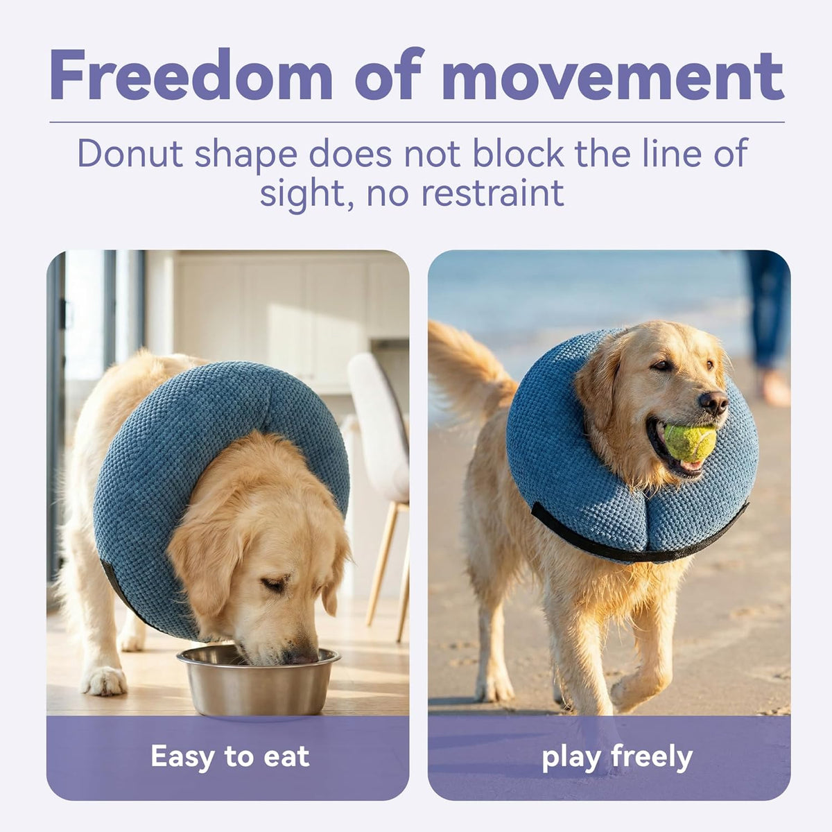 Soft recovery e-collar alternative for medium dogs post surgery