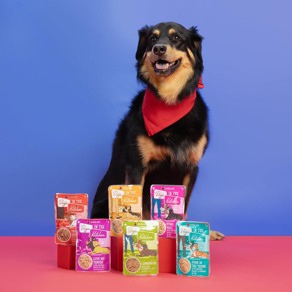 Weruva Dogs in The Kitchen, Variety Pack, Pooch Pouch Party!, Wet Dog Food, 2.8Oz Pouches (Pack of 12) - Image 11