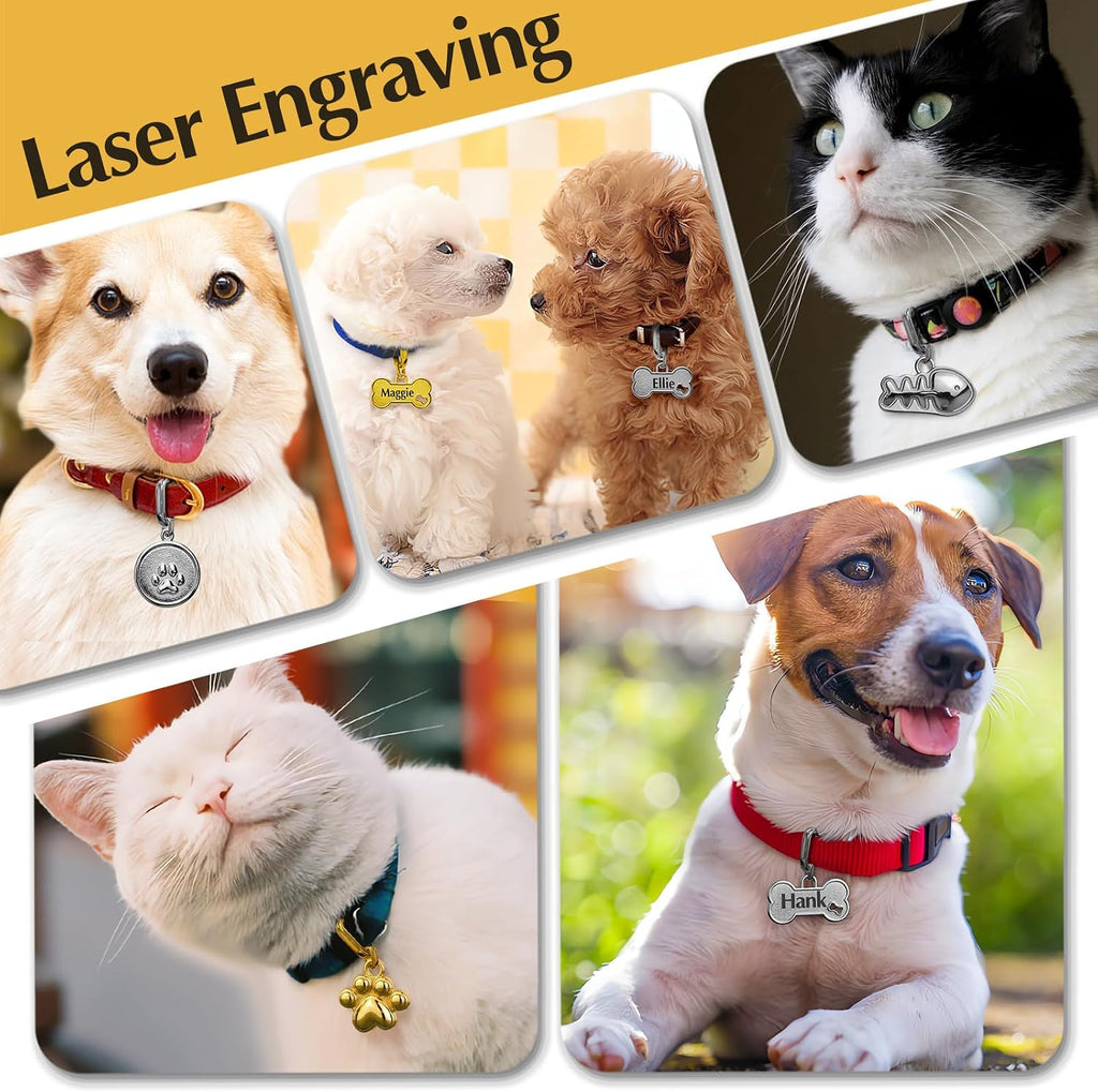 Durable USA imported personalized pet collar accessory with polished finish.