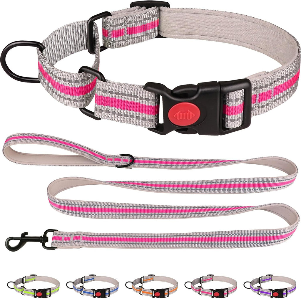 QDYU martingale dog collar and leash set front view hotpink training collar