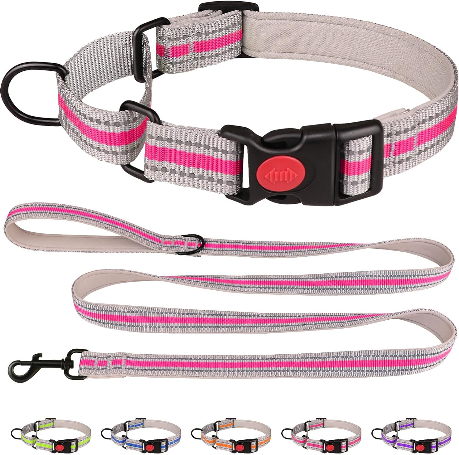 QDYU martingale dog collar and leash set front view hotpink training collar